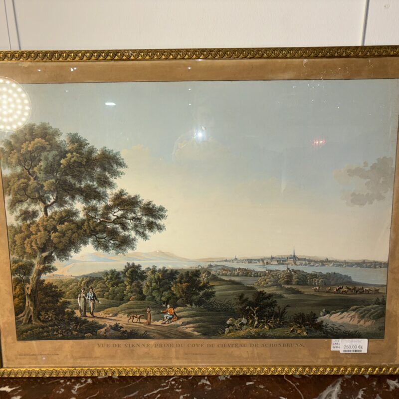 Vue de vienne . Gravure richement rehaussée